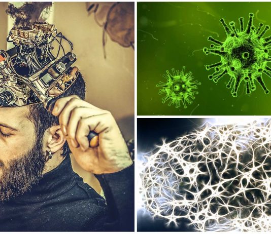 ¿Pudo un virus poner en marcha la conciencia y hacernos humanos?