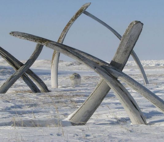 El Callejón de las Ballenas en Chukotka | ¿El Stonehenge de Rusia? callejon de las ballenas