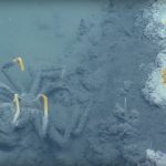 jacuzzi de la muerte