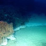 jacuzzi de la muerte 3