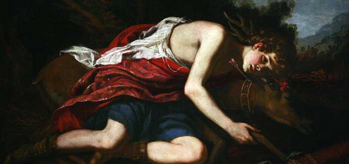¿Por qué hay cipreses en los cementerios? El mito de Apolo y Cipariso