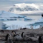 25 Curiosidades de la Antártida | El continente helado