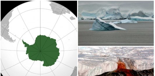 25 Curiosidades de la Antártida | El continente helado