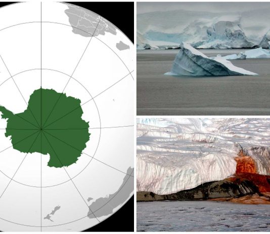 25 Curiosidades de la Antártida | El continente helado
