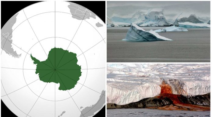 25 Curiosidades de la Antártida | El continente helado