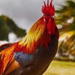 4 Mitos de Ares curiosos | Historias del dios griego de la guerra