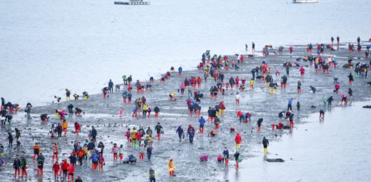 Mar de Jindo | El lugar en que las aguas se separan como en la Biblia