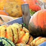 El caso de las mujeres calvas por comer calabaza. ¡Descubre por qué!