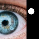 La ilusión óptica de 2 puntos que desconcierta a tu cerebro