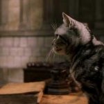 Los skin-walkers navajos, los precursores de los animagos de J.K.Rowling