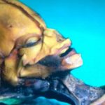 Científicos-resuelven-el-misterio-del-supuesto-alíen-encontrado-en-Chile