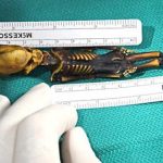 Científicos-resuelven-el-misterio-del-supuesto-alíen-encontrado-en-Chile