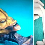 Científicos-resuelven-el-misterio-del-supuesto-alíen-encontrado-en-Chile