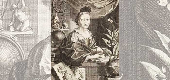 Maria Sibylla Merian | Una de las primeras naturalistas de la historia