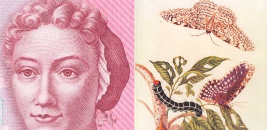 Maria Sibylla Merian | Una de las primeras naturalistas de la historia