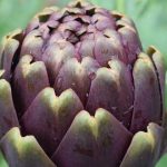 4 Afrodisíacos extraños de la historia. ¿Crees que podrían funcionar?