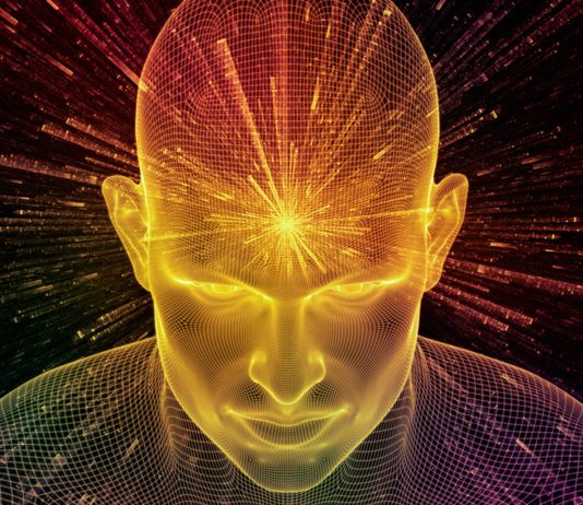 Gimnasia cerebral | Una guía para activar tu mente Gimnasia cerebral | Una guía para activar tu mente