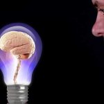 Descubrimiento: Los cerebros ancianos SÍ producen células nuevas