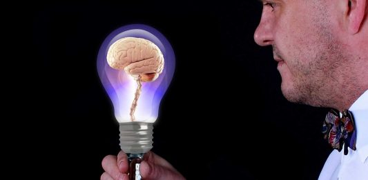 Descubrimiento: Los cerebros ancianos SÍ producen células nuevas