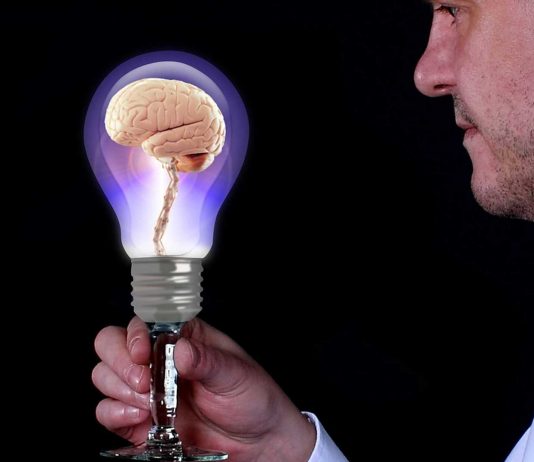 Descubrimiento: Los cerebros ancianos SÍ producen células nuevas