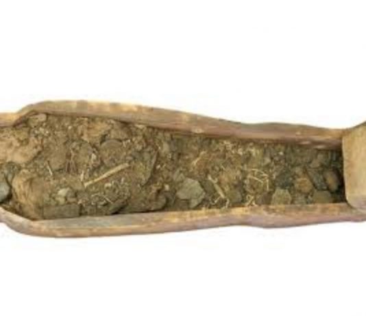 Había una momia oculta en este sarcófago y en 151 años nadie se percató de ello momia oculta