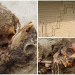 10 datos escalofriantes sobre los niños sacrificados en Perú por los Chimú