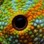 10 Impresionantes ojos de animales | [Con imágenes]