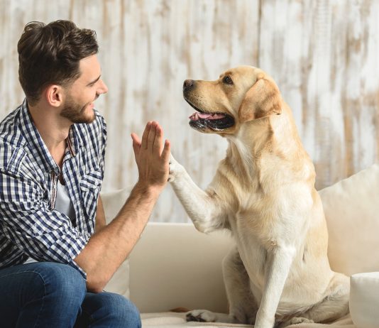 Dedícale una sonrisa a tu perro. La ciencia dice que le encanta sonrisa a tu perro
