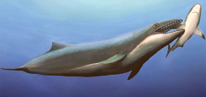 Antepasado de la ballena 