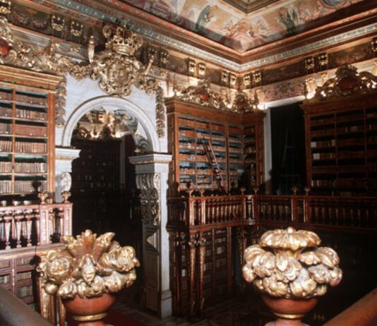 La Biblioteca Joanina | Hogar de libros ¡Y murciélagos! Biblioteca Joanina