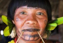 Los Indios Yanomamis