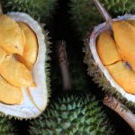 durian