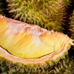 durian 3