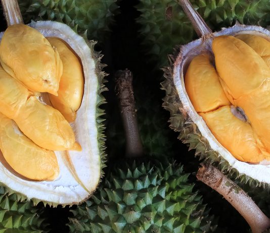 fruto del durián
