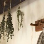 5 Rituales para el Solsticio de Verano | ¡Pura magia!