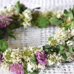 5 Rituales para el Solsticio de Verano | ¡Pura magia!