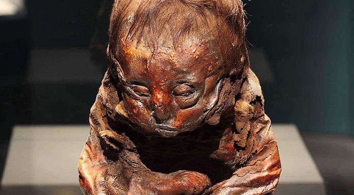 La historia del Niño Detmold, una de las momias más antiguas del mundo