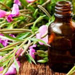 que son las flores de Bach