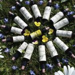 que son las flores de Bach »’3