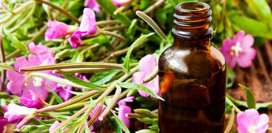 que son las flores de Bach