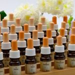 que son las flores de Bach0 0