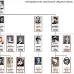 Reina Victoria y hemofilia | ¿Cómo afectó a todos sus descendientes?