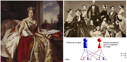Reina Victoria y hemofilia | ¿Cómo afectó a todos sus descendientes? Reina Victoria y hemofilia | ¿Cómo afectó a todos sus descendientes?
