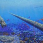 tierra bola de nieve »»