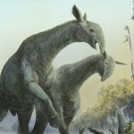 Paraceratherium