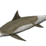 Dinosaurios marinos, Temnodontosaurus platyodon,