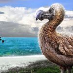 animales extintos