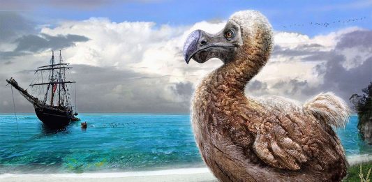 15 animales extintos raros | ¡Son increíbles! animales extintos