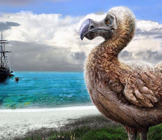 animales extintos
