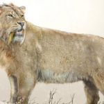 animales extintos raros ‘